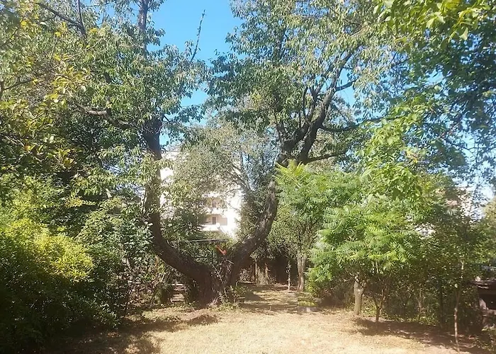 Gornik W Walbrzychu 40m, Kuchnia, Klima, Wifi, Parking